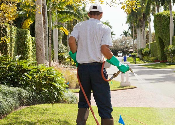 About Ford KS Pest Control